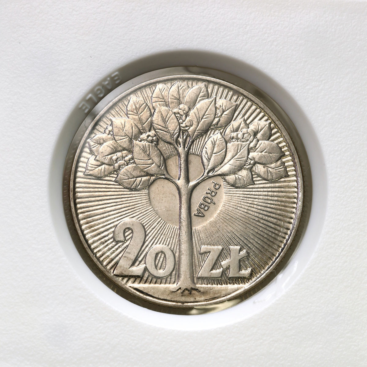 PRL. PRÓBA Nikiel 20 złotych 1973 – kwitnące drzewo